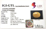 13.38 Ratti Natural Yellow Sapphire with Govt Lab Certificate-(1221)